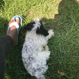 Meet your Posher, Demetra